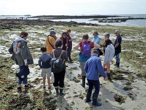 Locqueltas à Larmor : Epave de l'Ecrevisse, 20 août, 17 et 18 septembre 2020 ... Roches à droite de la plage : le 21 août 2020