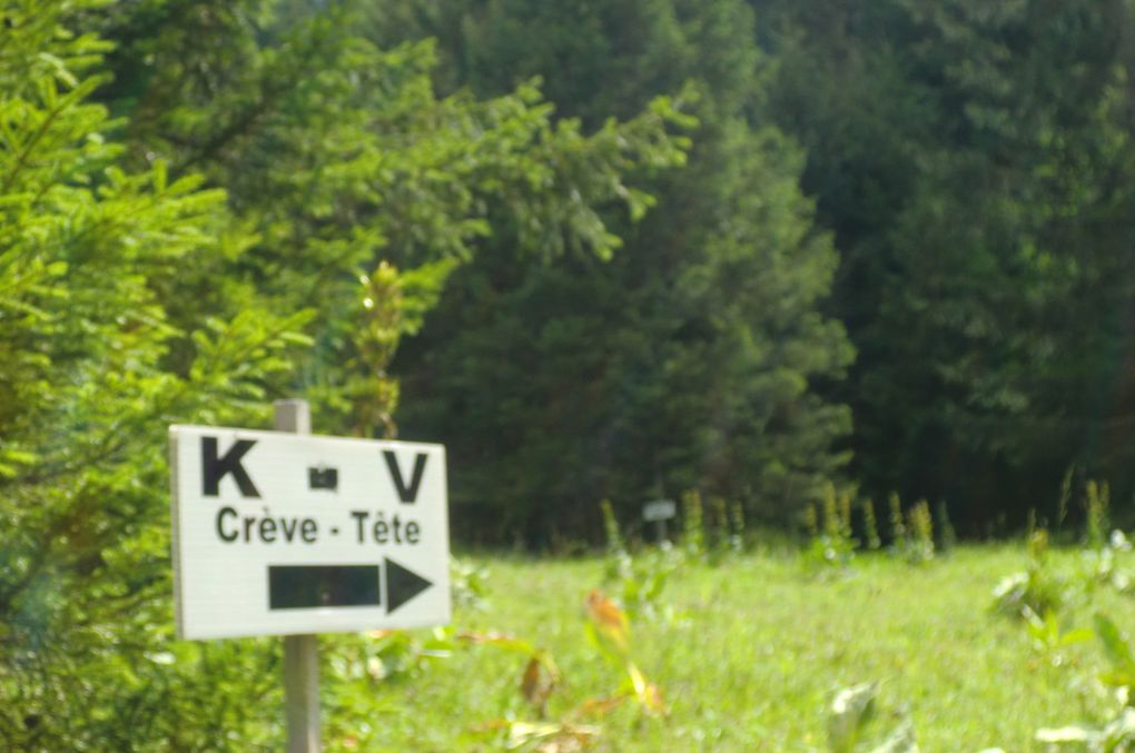 Il avait déjà coupé notre sentier quelques 500 mètres de dénivelé plus haut, voici le parcours d'une épreuve sportive parmi les plus dures.... Le kilomètre vertical.  Dénivelé (D+) : 1000m, longeur (L) : 2800m. 