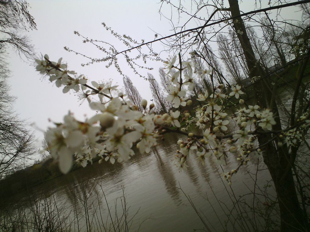 Sous la pluie, le printemps arrive 