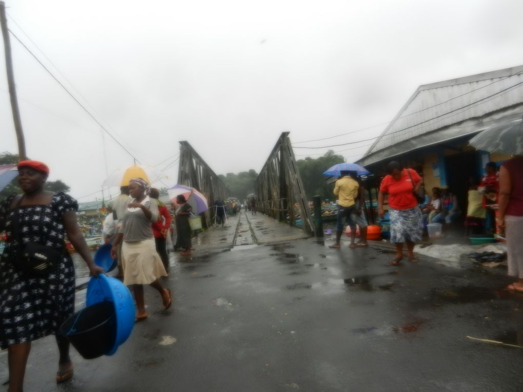 Limbé et ses plages, son parc botanique, son centre de la faune, son activité. Buea base pour le Mont Cameroun et le pont M'Fundi base pour le Nigeria