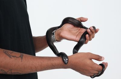 Signification Du Collier Serpent