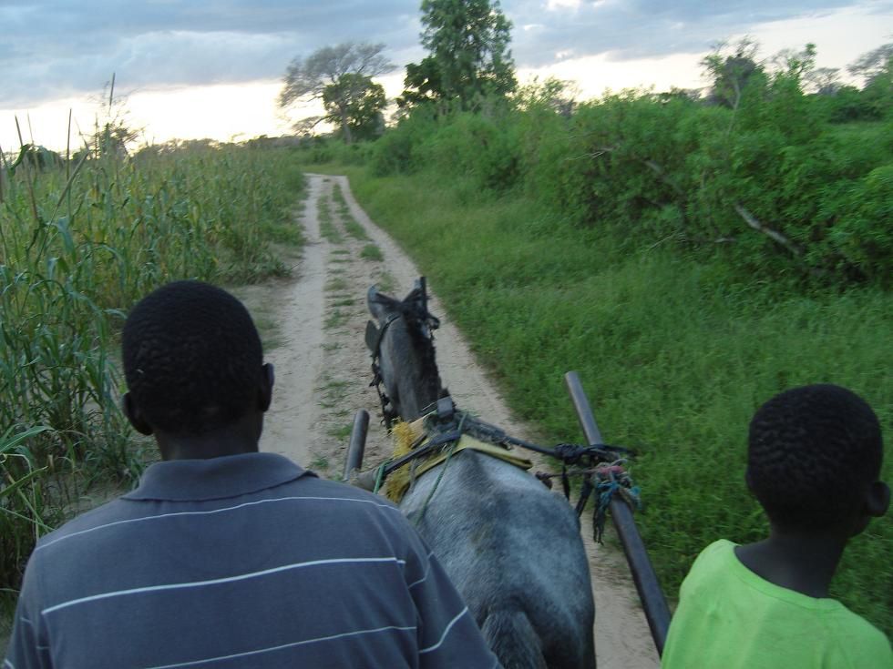 Album - Village Keur Daw Mbor