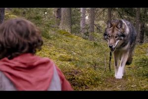 (Film) Sepp l'ami des loups