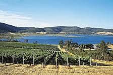 #Rose Wines Producers Tasmania Island Vineyards  Australia