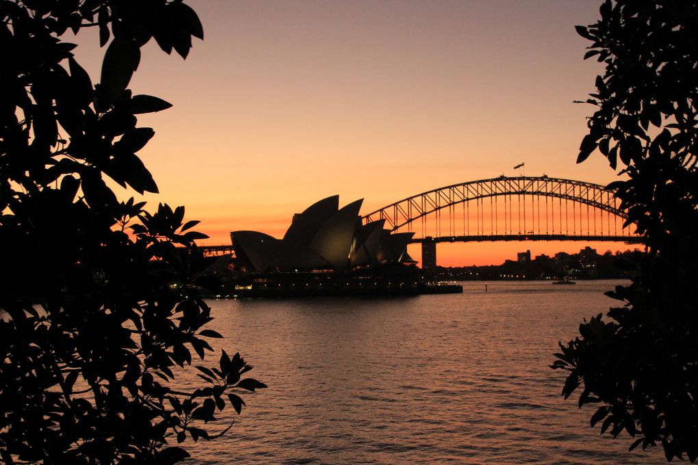 Sydney du 4 au 10 mai 2012...