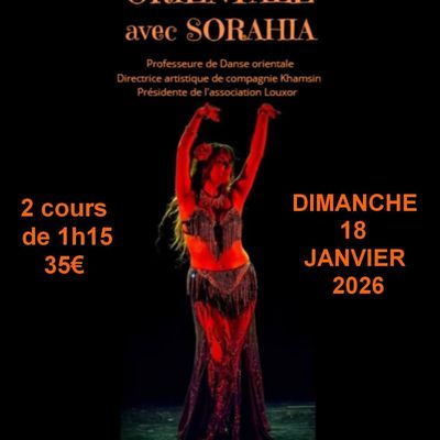 Invitée en stage à Saint-Dié-des-Vosges le 18 janvier 2026 au Studio Brigitte Nicole 