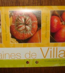 Les graines de Villandry