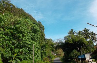 Le tour de Phang Nga city.