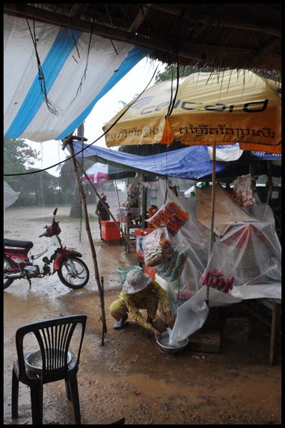 à l'inverse de Mouhot, j'ai dû d'abord passer par Phnom Penh pour aller à Udong. 
Détour à Kratie et l 'observation des dauphins de l'Irrawady faute de pouvoir trouver Brelum....