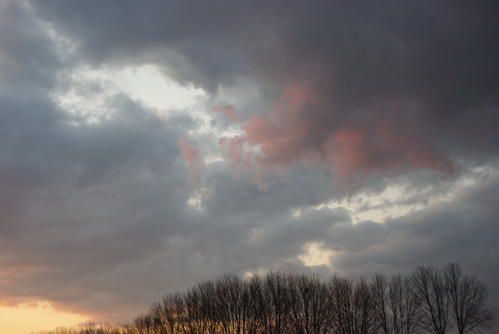 tout ce que je trouve beau à l'oeil (et généralement tout ce qui m'étonne, dévie, je le trouve beau) et ne se range pas ailleurs
Enjoy...