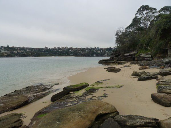 Album - Ferry - Manly