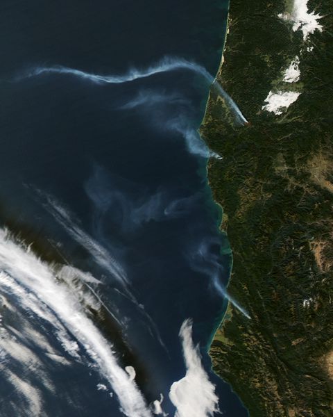 Bone Fire im südlichen Oregon, Januar 2014 Quelle NASA