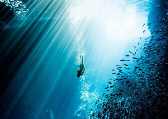 Eau : Le monde des fonds marins