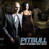 PITBULL FT AKON - Shut It Down