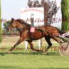 TWISTER LIFE DOUBLE LA MISE HIER A CARPENTRAS