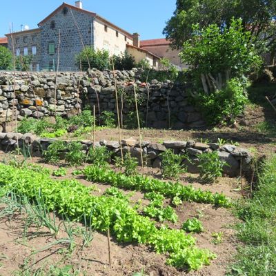 Mon jardin potager / Balade en Haute-Loire