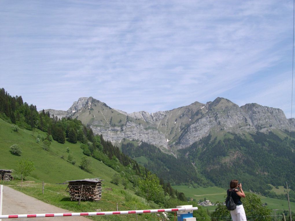 Encore des vues superbes des Alpes, prises par notre duo de choc en Facel III Anne-Marie et Bertrand... 