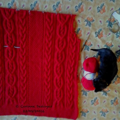 TRICOT : veste Chaperon Rouge 8