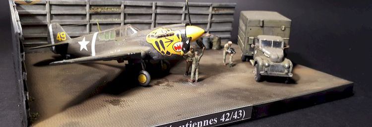 P-40E  warhawk(aleoutiennes42/43)