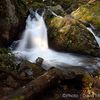 Petite cascade du Tendon (Vosges)