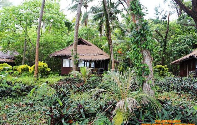 Pulau Pelangi Petodan Besar Di Kepulauan Seribu Jakarta