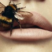 Les abeilles en danger de disparition (et l'humanité par la même occasion) : état des lieux des dernières connaissances scientifiques - MOINS de BIENS PLUS de LIENS