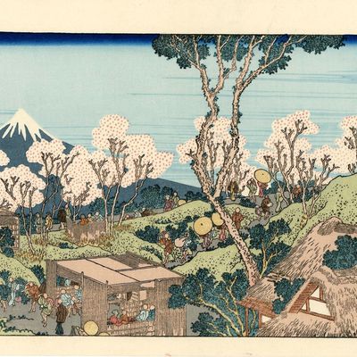Hokusai les 100 vues du mon Fuji