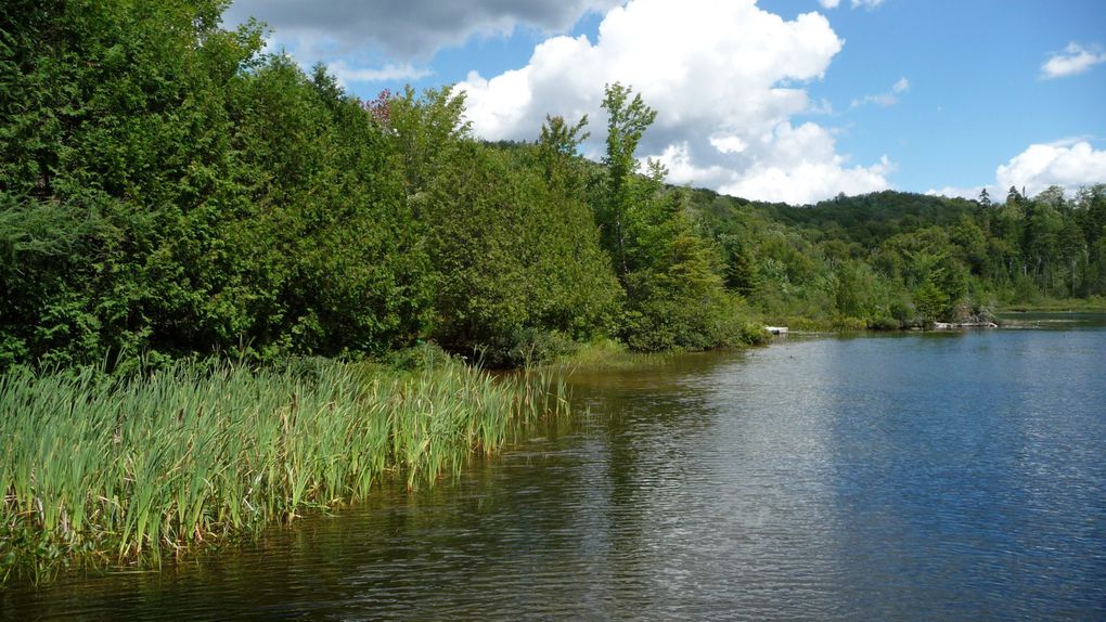 Ballade et patie de peche sur le lac Saint Adolph d'Howard