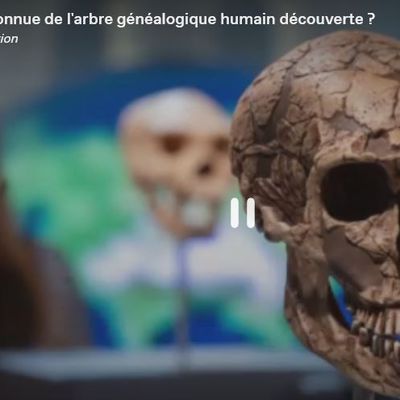 Chine : la découverte d'un crâne d'enfant pourrait réécrire l'Histoire de l'évolution humaine