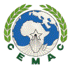 Les premiers avions d'Air Cemac prévus pour mars 2008