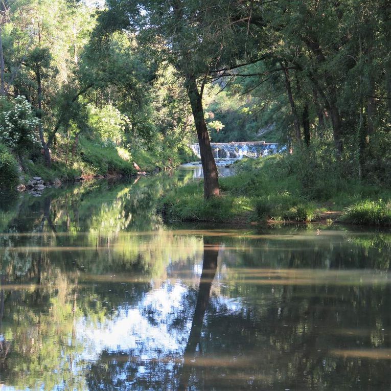 Entre Grabels et Montpellier (La Paillade) coule une rivière...c'est un secret