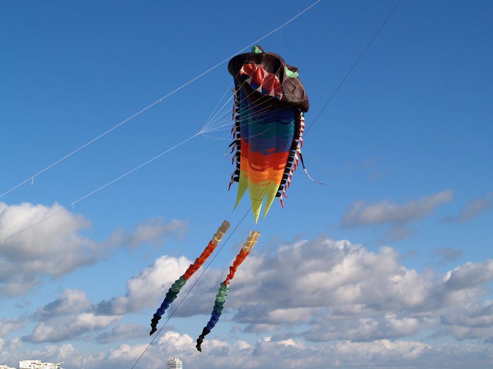 Album - Cerf volant plage de La Baule