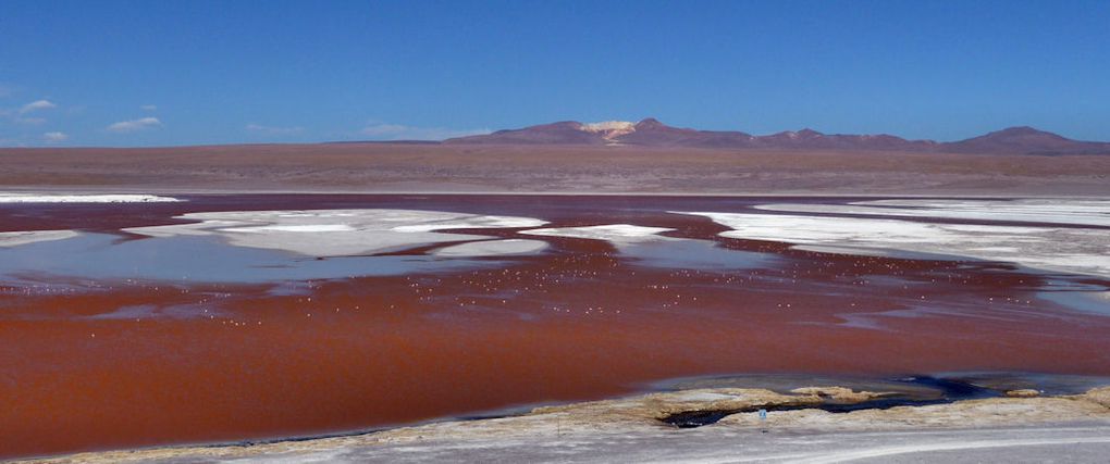 Bolivie