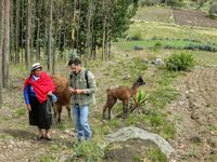 Dans la sierra avec les lamas....8/12 juin 2016