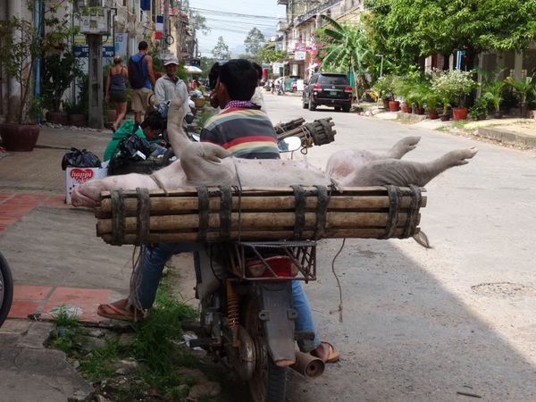 - Transport de porc encore vivant - Jus de canne à sucre - Tongs / Chaussons - Mamie fait le trottoir -