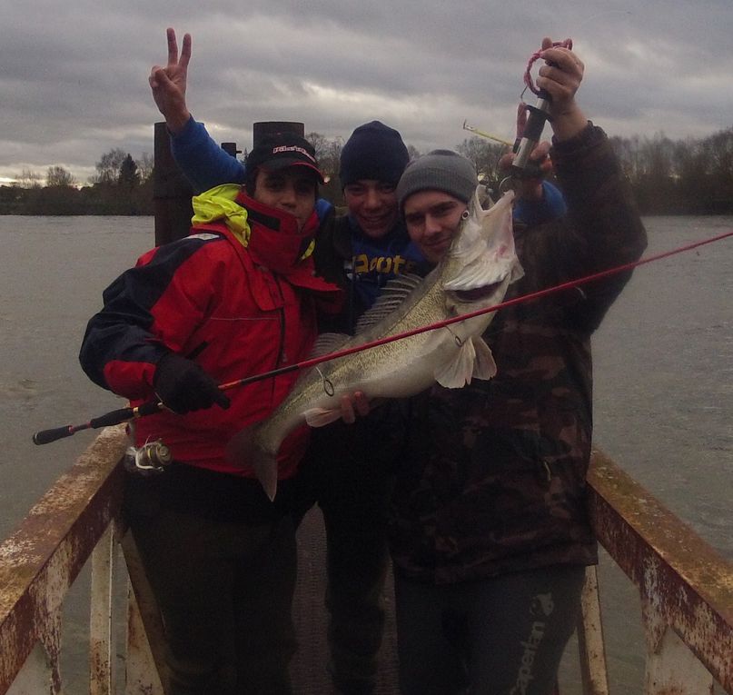 2012 est déja commencer et les fish ne tardent pas à montrer leurs nageoires