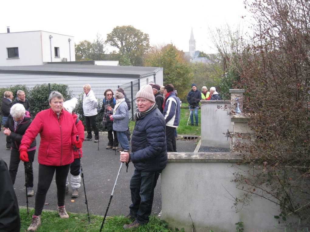 Promenons nous dans les bois... 