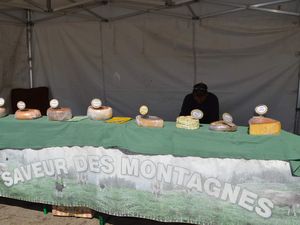 Festival de l'Environnement et Brocante à Algrange en 2017