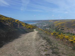 Le massif dunaire de Biville