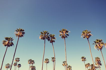 Los Angeles, le nouvel eldorado de la mode ? 