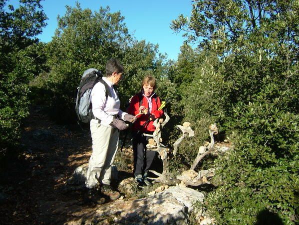 Randonn&eacute;e les Cr&ecirc;tes de Sainte Victoire