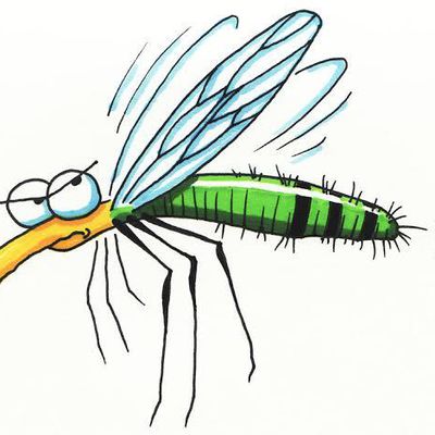 Le karma du moustique