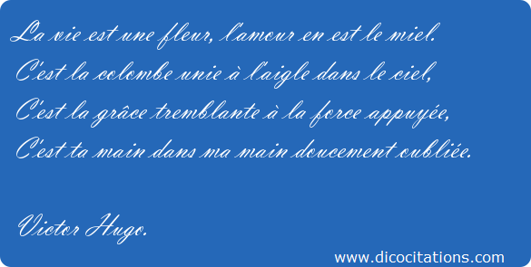 25 Citations De Victor Hugo Sur L Amour Citons Precis Com Citations