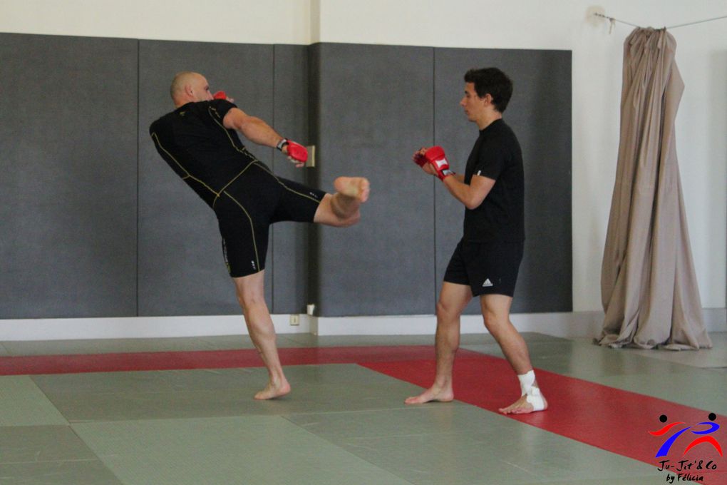 Jujitsu combat 06 2013 avec Sébastien Sanési organisé comme d'habitude par Ludo et Fred