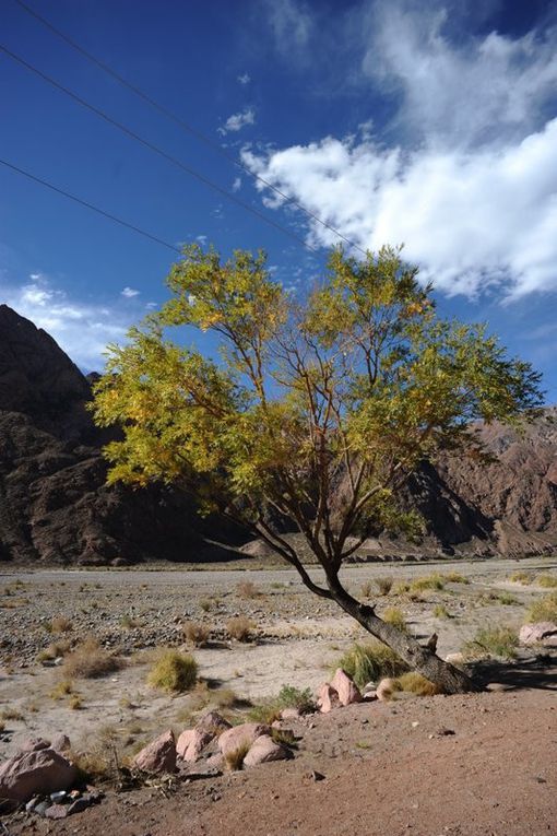 Album - Trip-en-voiture-Mendoza