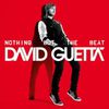 DAVID GUETTA - Nothing But The Beat (Tracklist)