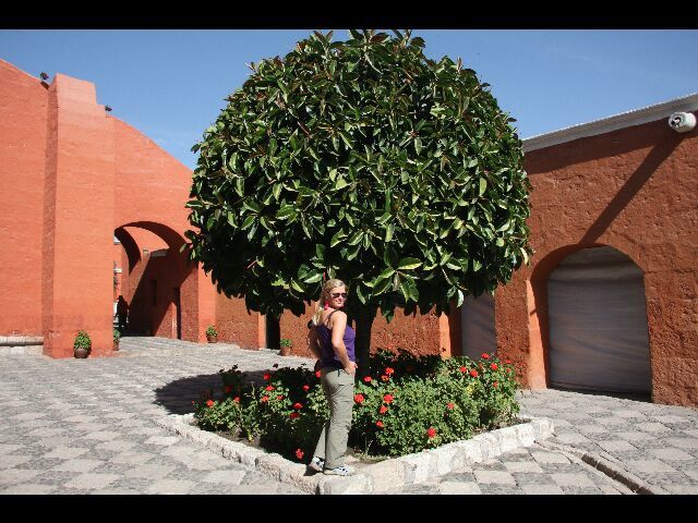 Album - AREQUIPA