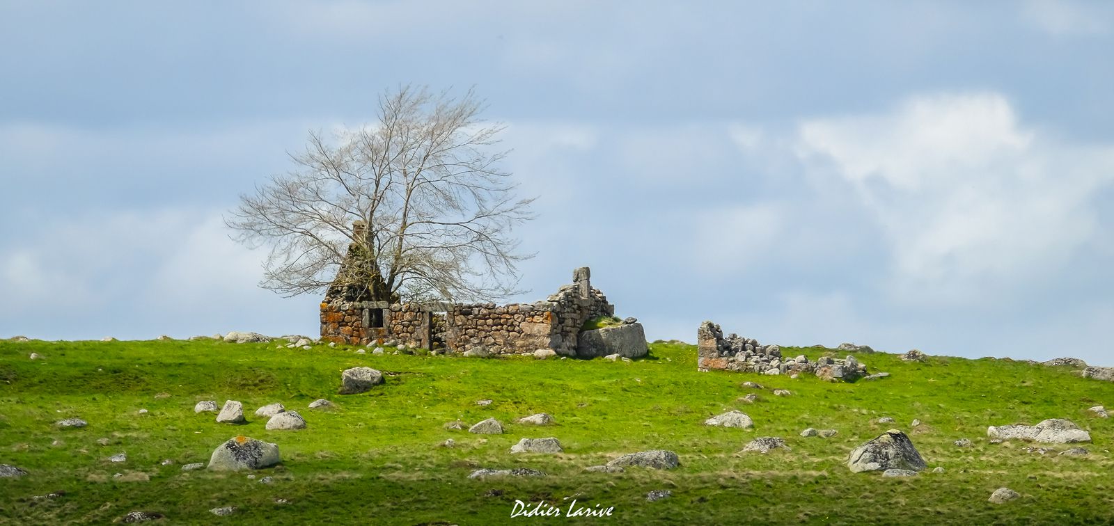 AUBRAC BURON RUINE CANTAL LOZERE AVEYRON AUVERGNE BURONNIER OCCITANIE 