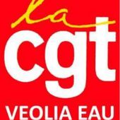 CGT VEOLIA EAU CENTRE-OUEST: première grève depuis dix ans, forte mobilisation et substantiel succès revendicatif - Ça n'empêche pas Nicolas