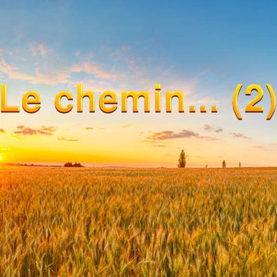 Le chemin… (2)